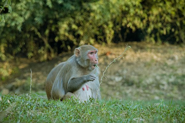 Découvrez le monde secret du téléphone rose érotique